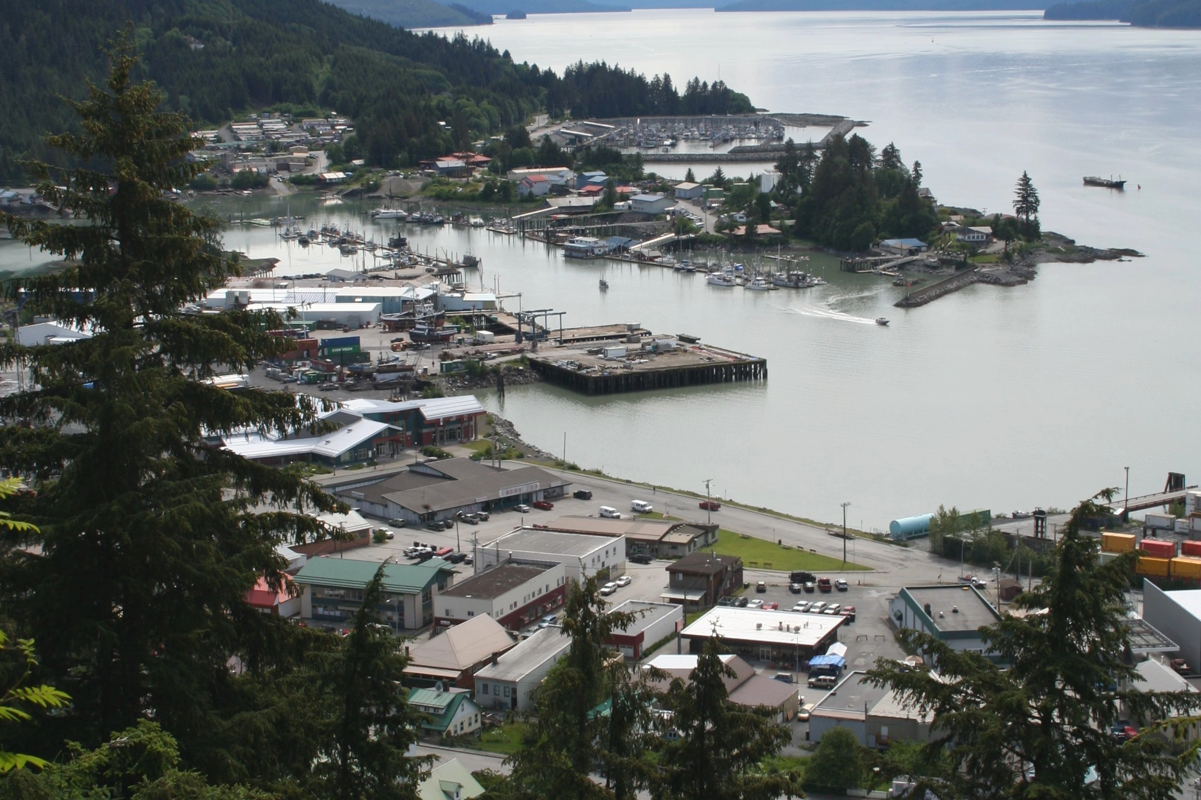 Wrangel_Island[1].webp